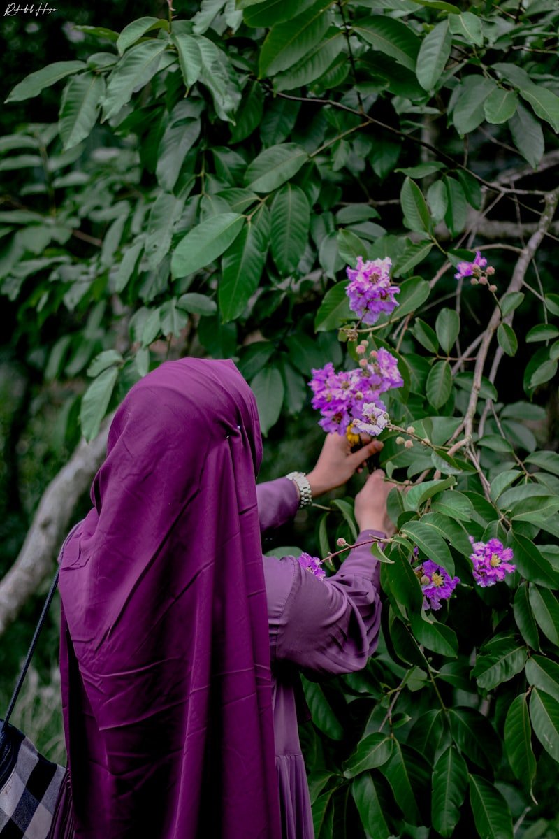 A woman in a purple hijab reaching for blossoms, face turned away