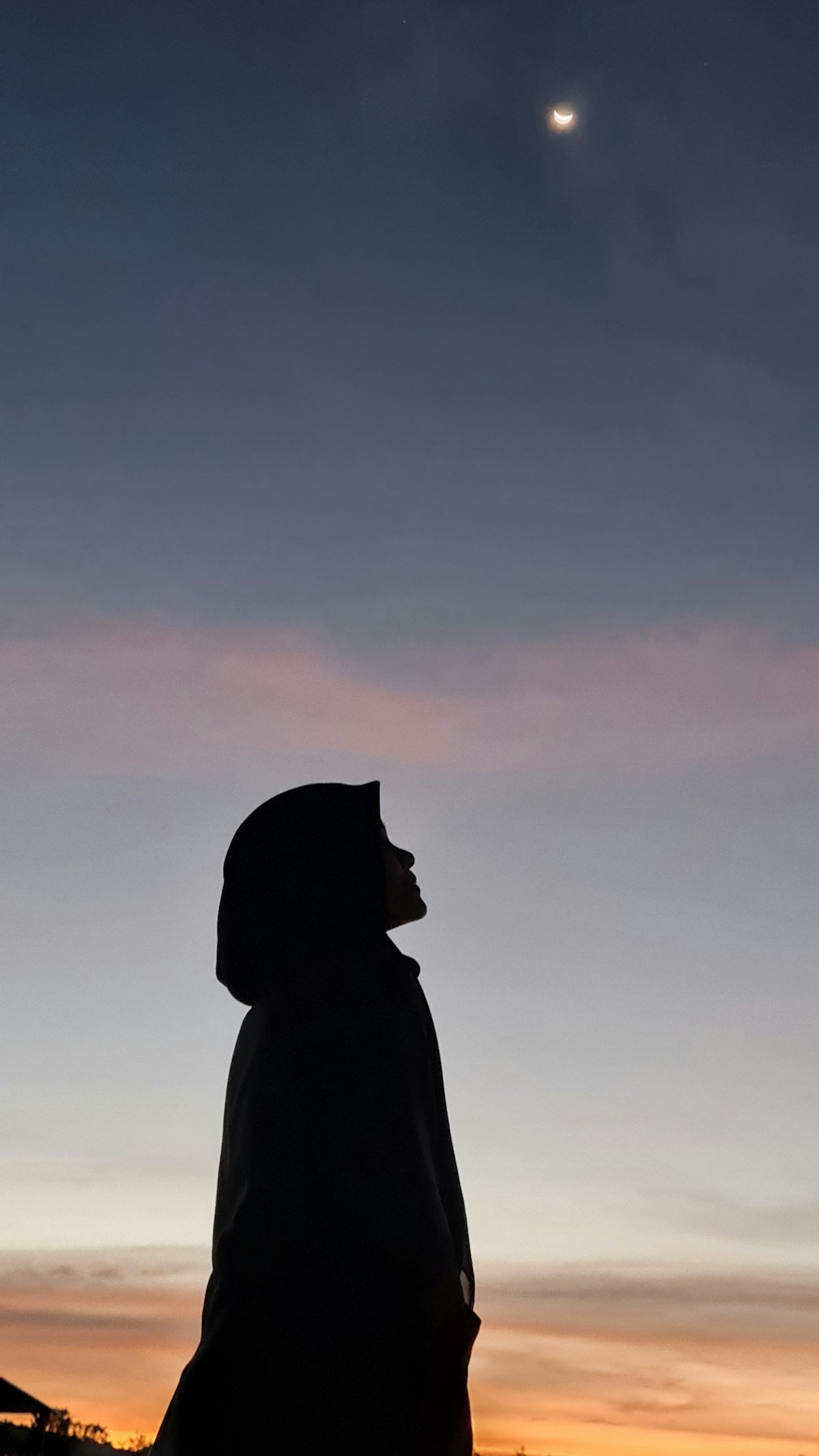 Silhouette of a woman in hijab against a dusk sky